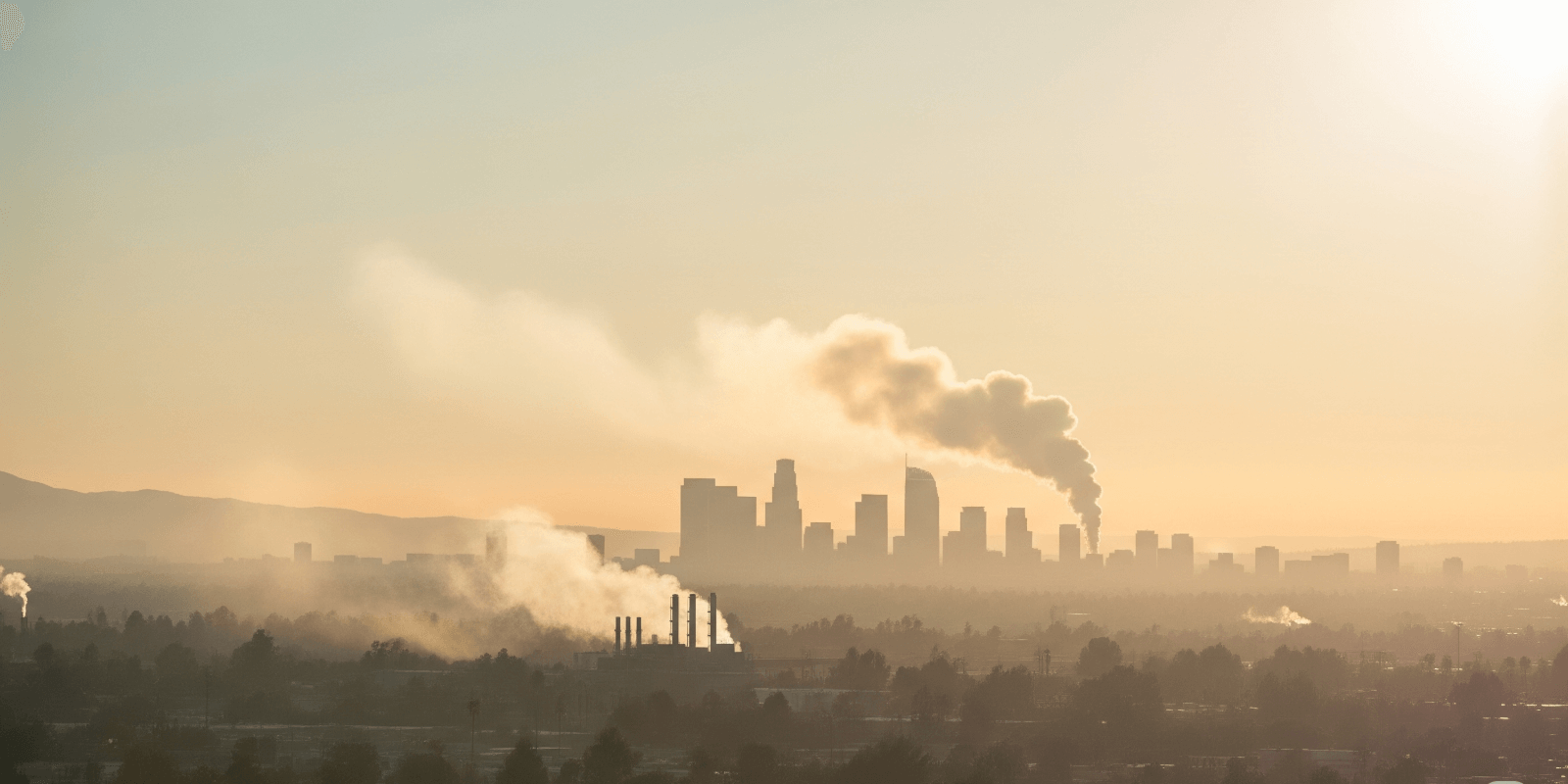 California Emissions & Smog Checks - Motors & Machines Quiz Cover