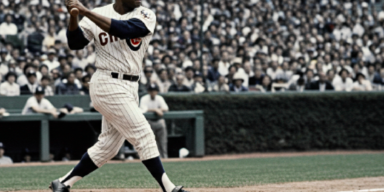 How Well Do You Know the Chicago Cubs? - Sports Quiz Cover